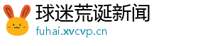 球迷荒诞新闻